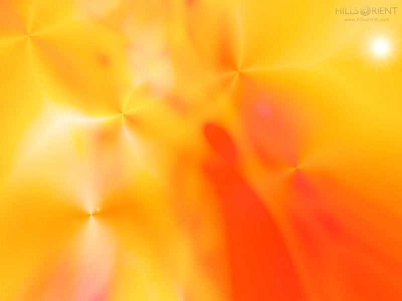 Free Desktop Wallpaper