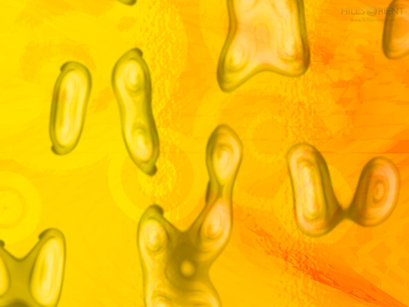 Free Desktop Wallpaper