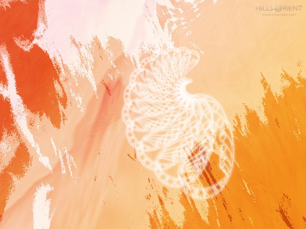 Free Desktop Wallpaper